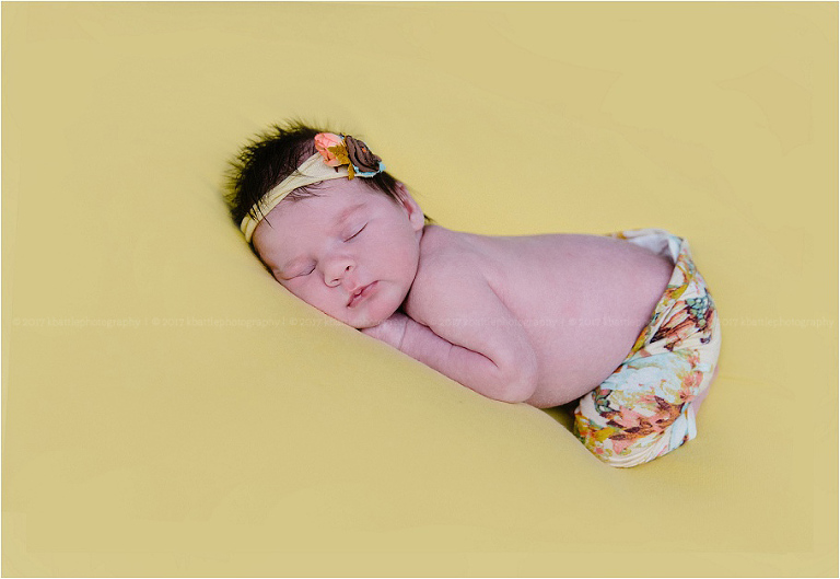 milwaukee newborn photographer