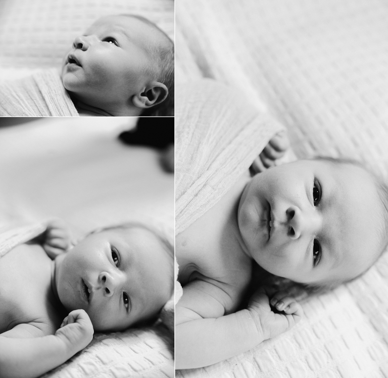 milwaukee newborn photography